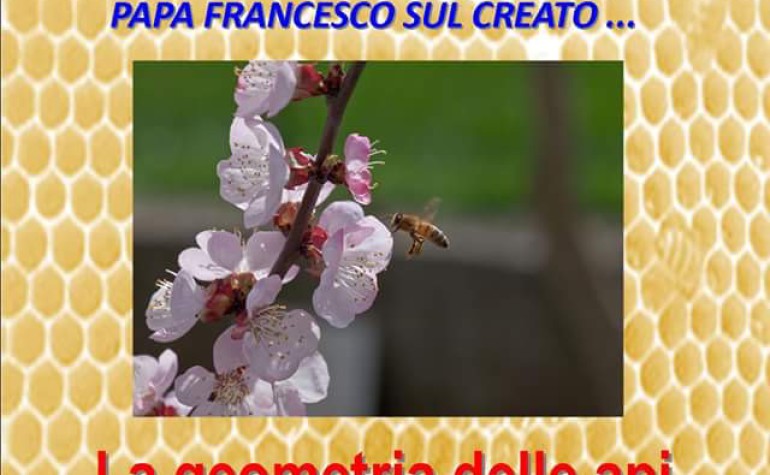 Relazione “La geometria delle api” presentata dal Dott. Mario Franzini